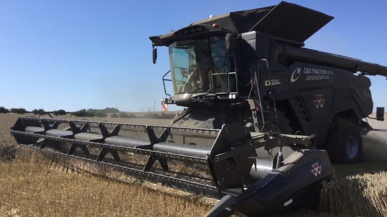 Massey Ferguson IDEAL 7 cutting wheat