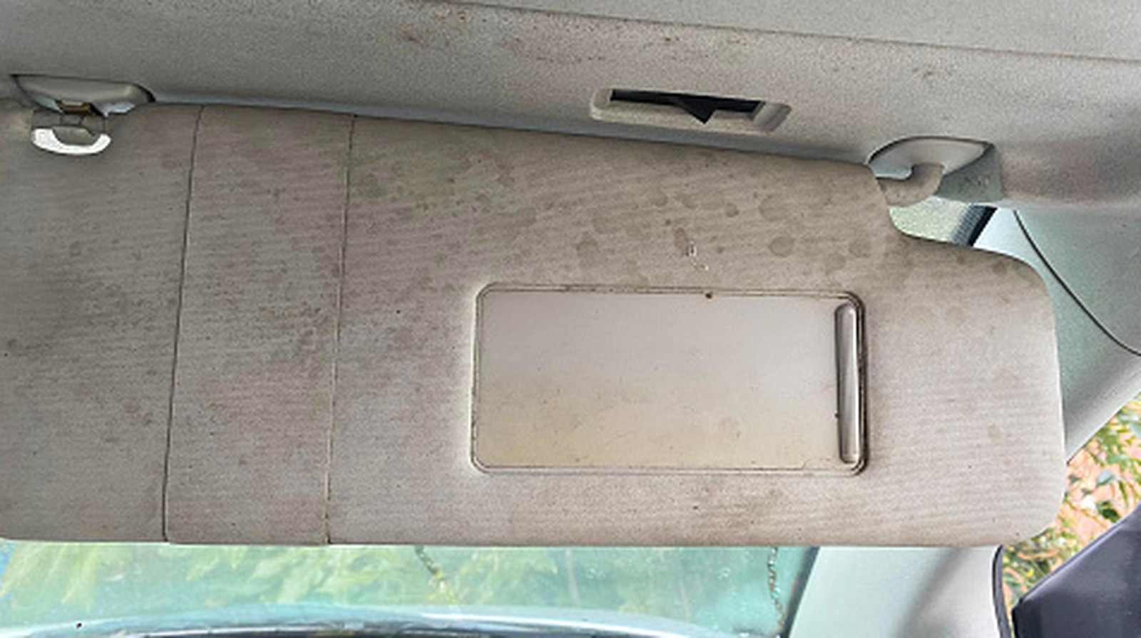 Mold in Your Car — How to Spot It and Get Rid of It