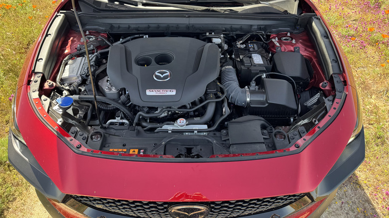 A look under the hood of the red CX-30 showing its engine and some grass and flowers