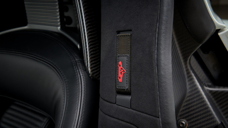 Emergency door release strap