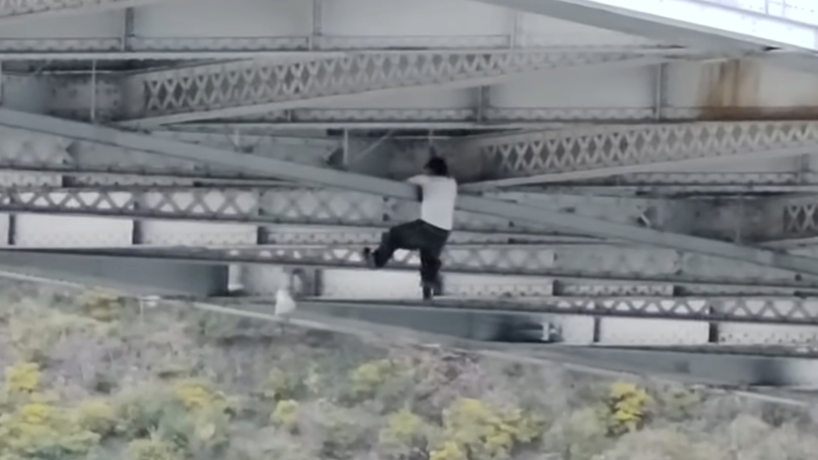 Suspected Car Thief Spider-mans Through Underside Of Bridge Trying To Escape Police