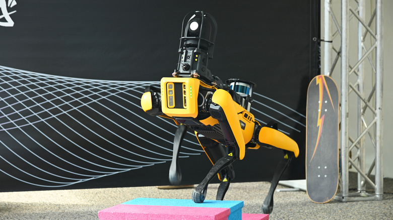 Boston Dynamics Spot dog