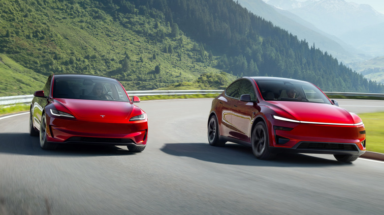 Tesla Model 3 and Model Y