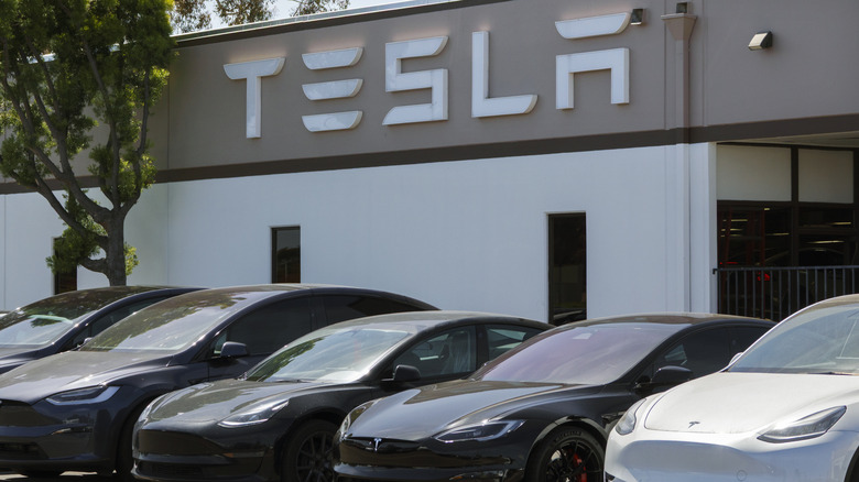 SAN DIEGO, CALIFORNIA - APRIL 25: Tesla electric vehicles are parked at a Tesla service center on April 25, 2025 in San Diego, California. (Photo by Kevin Carter/Getty Images)