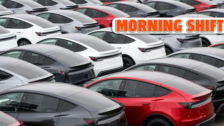 Tesla electric cars in different colors pre delivery with license plates