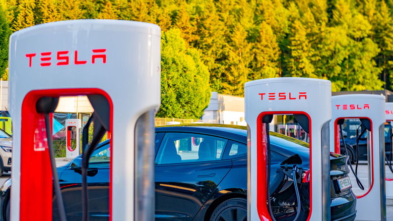 white and red Tesla Supercharger stations with charging cables, parking lot, green trees background, electric vehicle charging infrastructure, sustainable transport, Füssen, Germany - May 28, 2026  by: Kittyfly