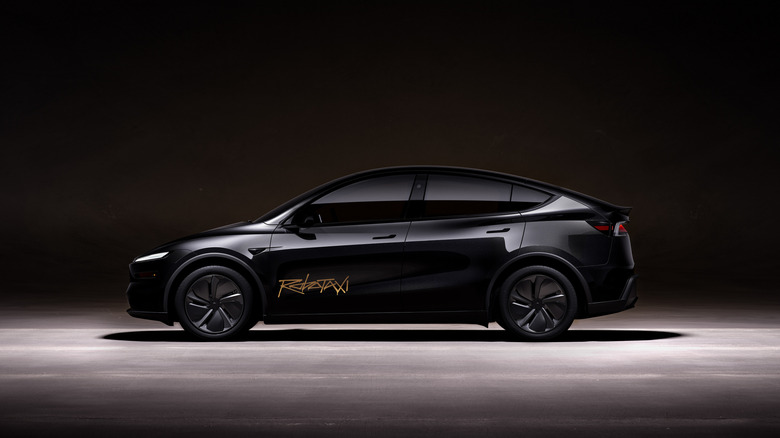 Tesla Robotaxi Model Y