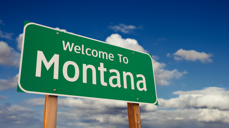 A Welcome To Montana green road sign