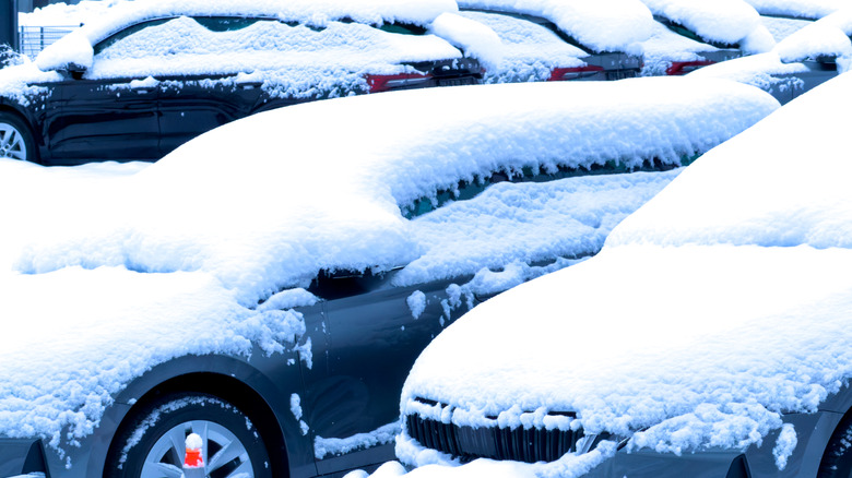 Snow blankets a row of parked cars at a car dealer with blue tones and a calm winter mood.