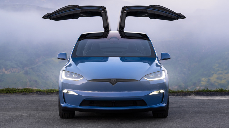head-on shot of a blue Model X parked with its falcon wing doors open in front of a view of misty green mountains