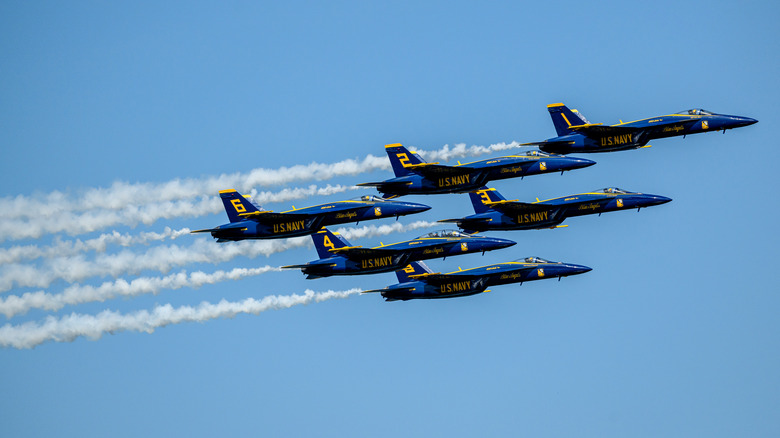 The U.S. Navy Blue Angels fly over the Statue of Liberty towards the Hudson River during the Sail4th 250 Tall Ships Parade and Flyover on July 04, 2026 in New York City