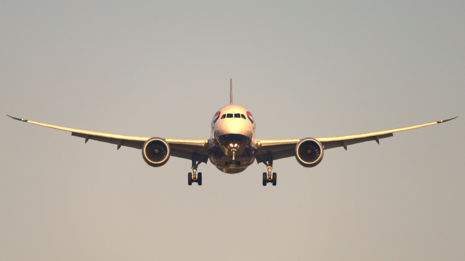 The Boeing 787's Wings Can Bend A Lot Further Than You Might Think