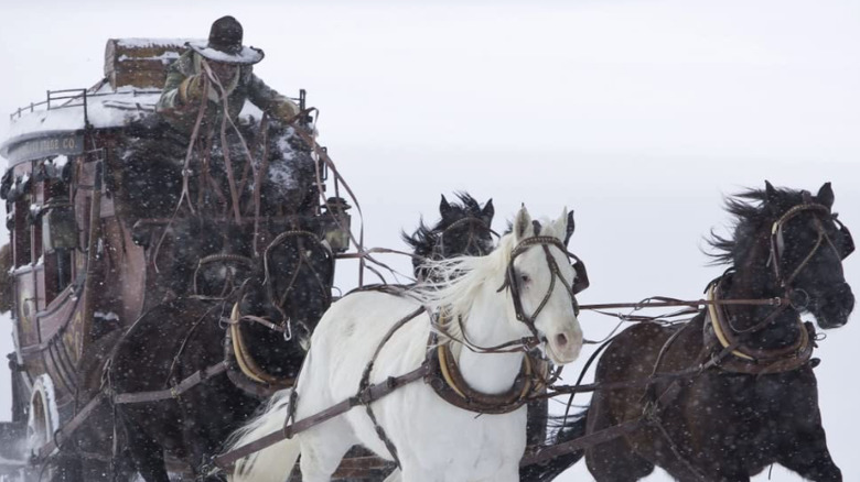 Horseys and a Carriage - The Hateful Eight
