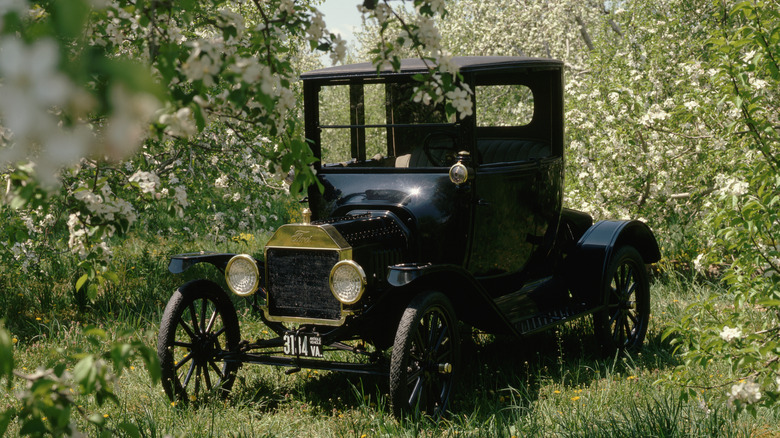 A 1915 Ford Model T parked surrounding by blossoming trees