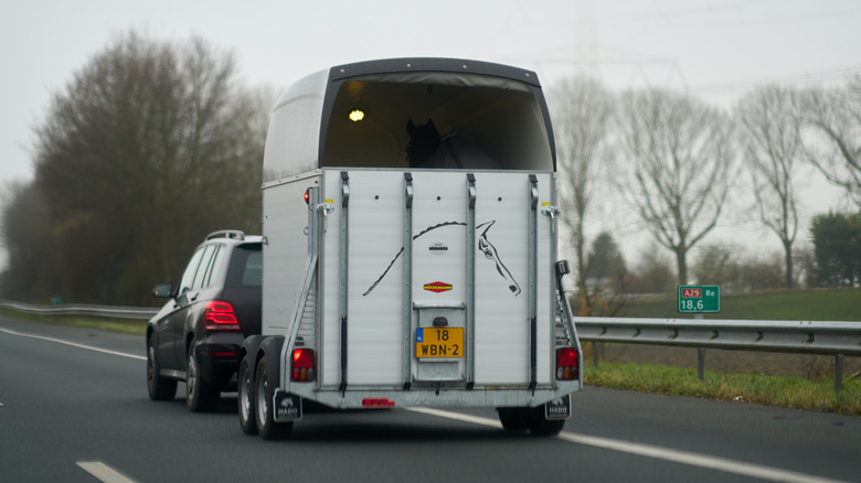 A car towing a horse trailer on the highway