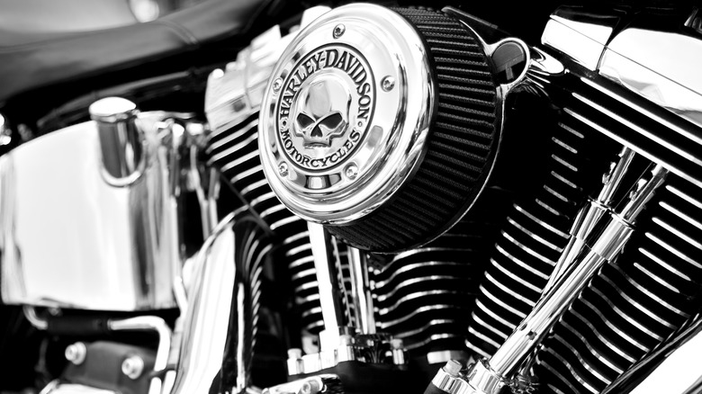 A custom Willie G. skull logo adorns this bike's air filter cover