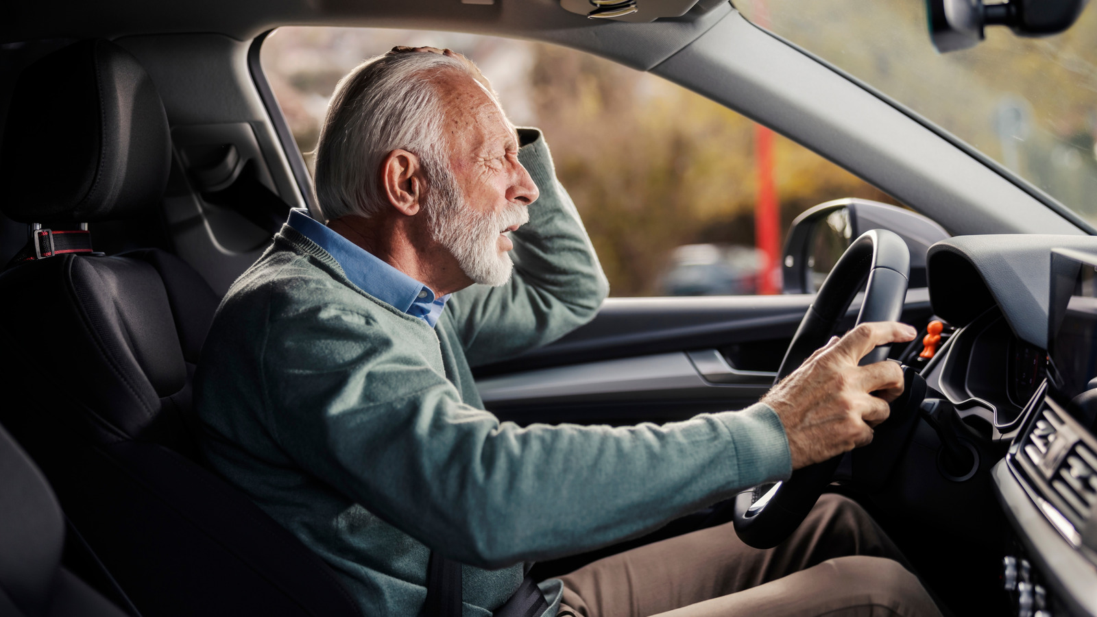 The Internet Is Filled With Posts About Stricter Driving Laws For Seniors, But They're All Fake