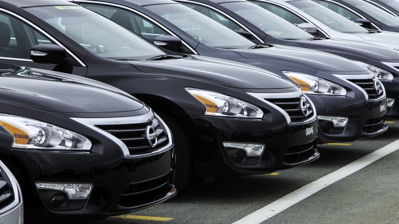 A row of Nissan Altimas.