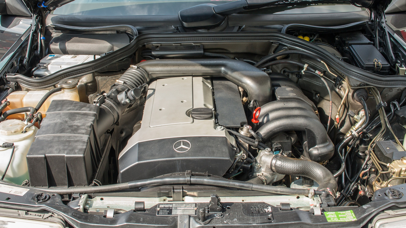 M104 Inline-Six Makes 300CE A German 2JZ Sleeper