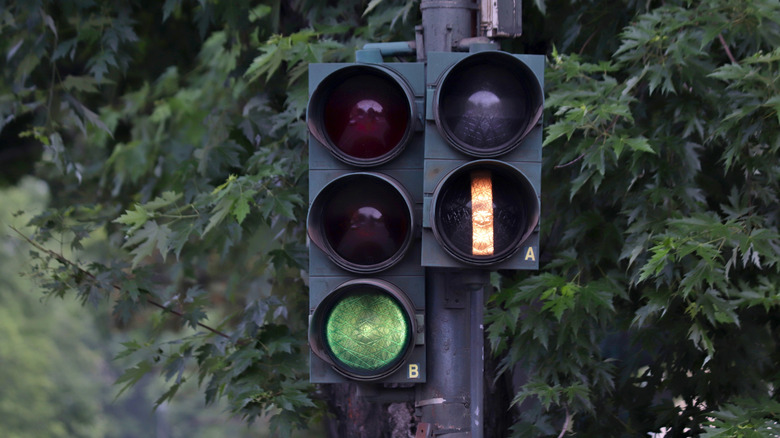 Green incandescent traffic light for cars and tram surrounded by leaves.