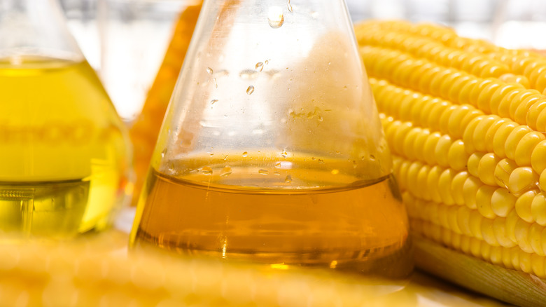 Concocting biofuel in an erlenmeyer flask with corn cobbs surrounding it.