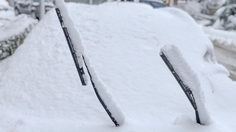 Windshield wipers placed in the up position during a snow storm