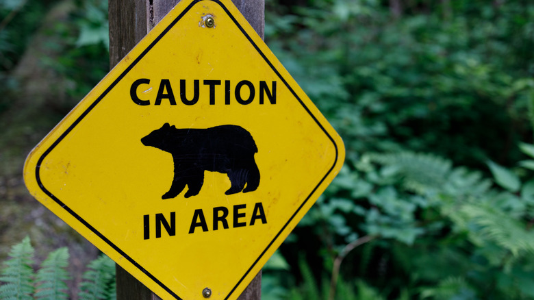 A sign cautioning viewers about bears in the area