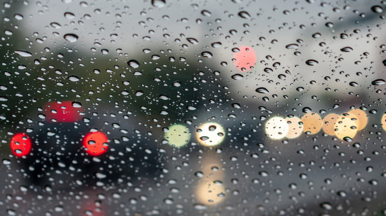 Water droplets on car window