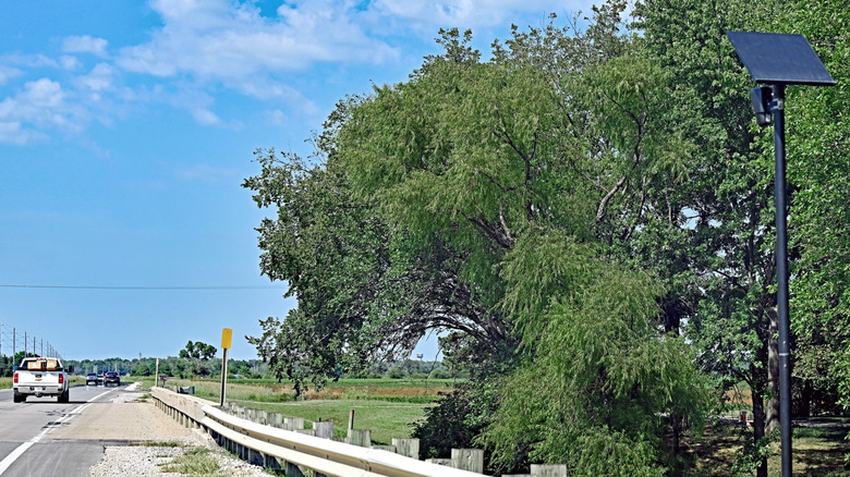A Flock camera watches a rural highway as traffic passes by its field of view