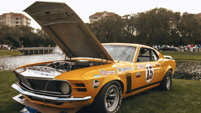 A show car parks near the water on some grass.