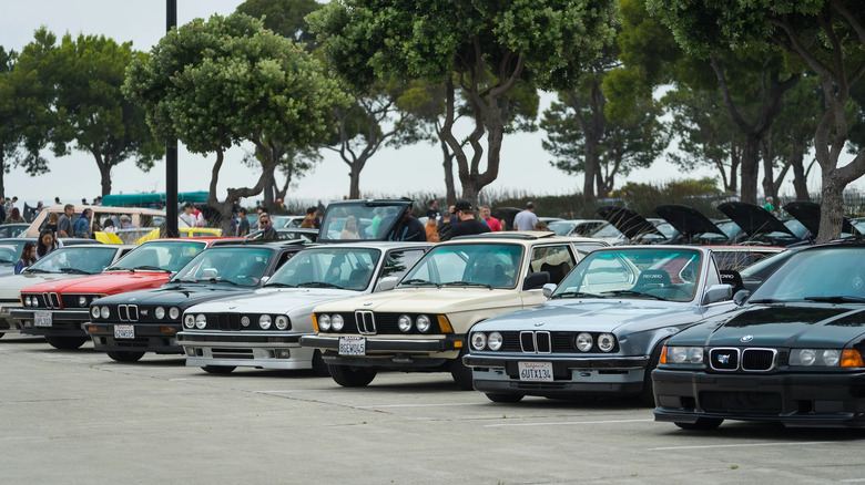 Show BMWs park together in a line.
