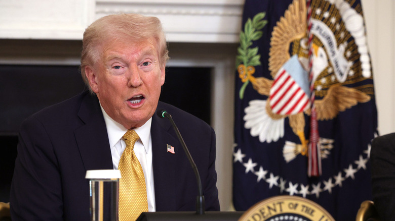 U.S. President Donald Trump delivers an announcement on his Homeland Security Task Force in the State Dining Room of the White House on October 23, 2025 in Washington, DC.