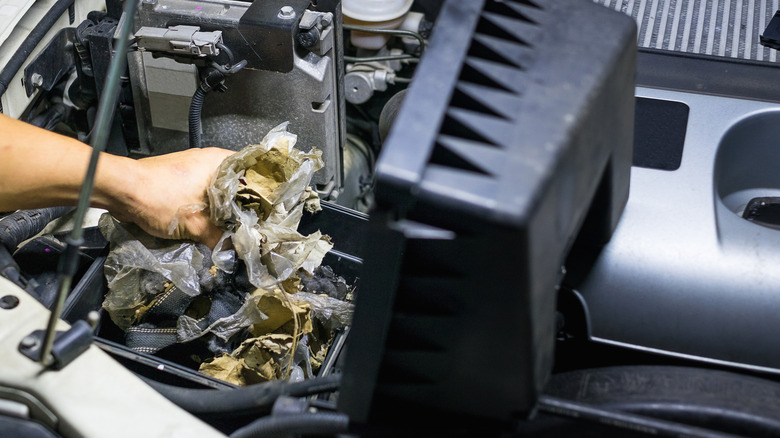 Rubbish and rodent nest being removed from air filter housing