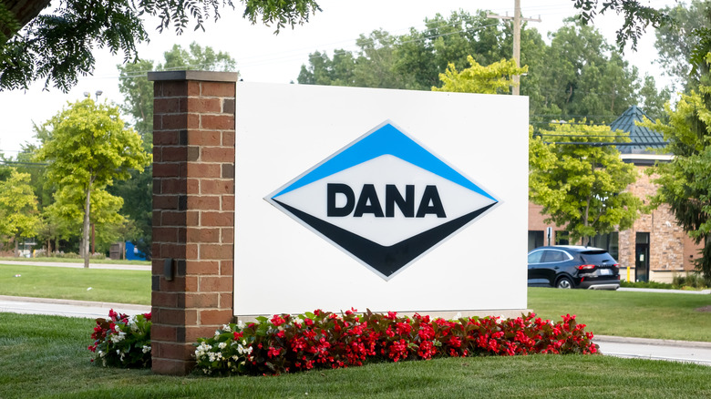 Dana logo