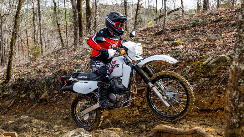 A rider climbing a muddy forest dirt road on a 2023 Honda XR650L with small trees visible in the background