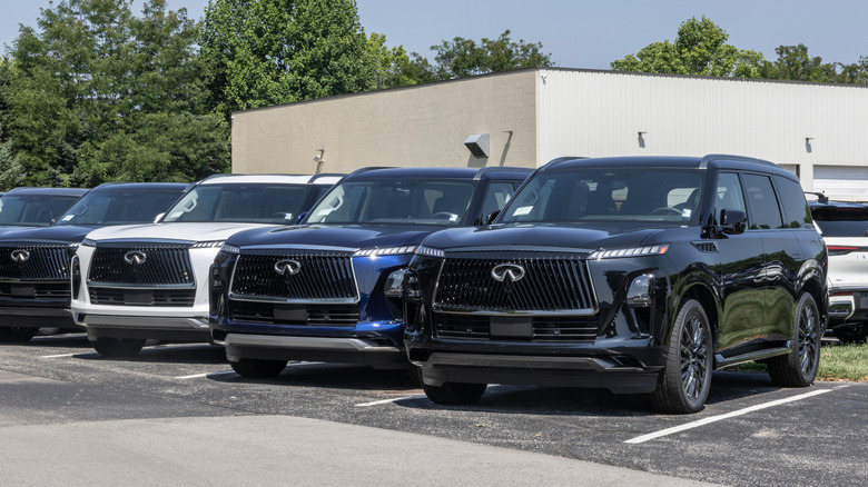 Several INFINITI QX80 vehicle wait on a lot.