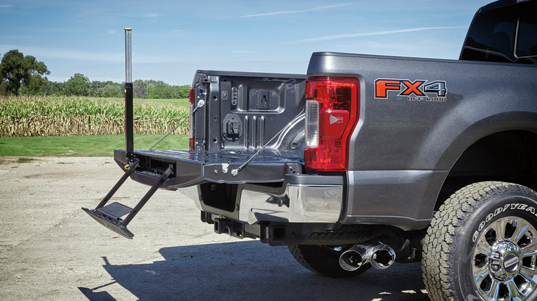 Ford truck tailgate step and grab handle.