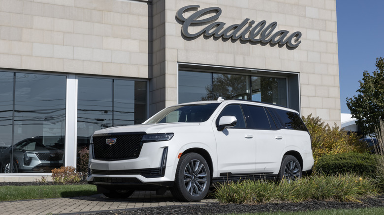 A white Cadillac Escalade in front of a dealership