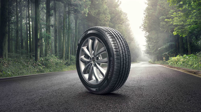 Press image of Hankook Kinergy XP tire in a wooded road, backlit by sunlight.