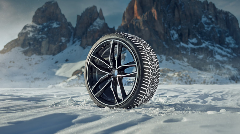 Product image of Hankook Winter i*cept evo 3 tire against a snowy background.