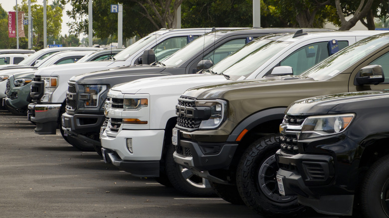 the front ends of many different kinds of cars