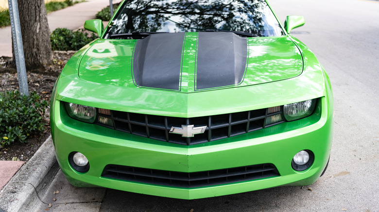 Chevy Camaro in green street parked under a tree