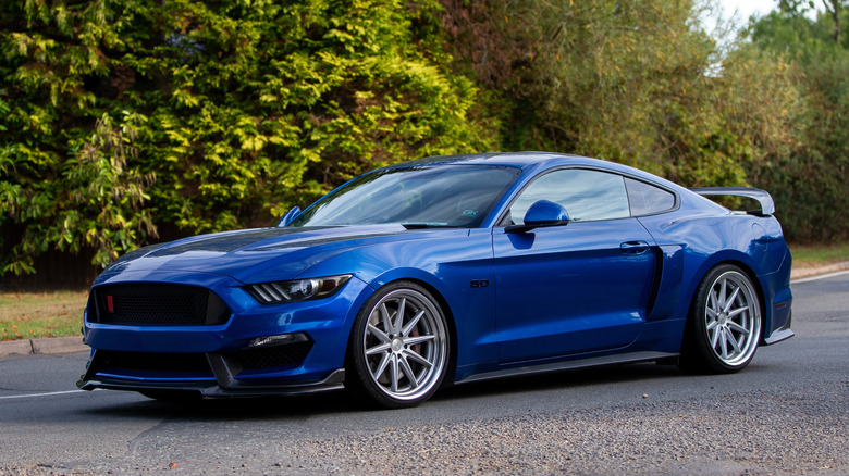 A blue Ford Mustang GT parked in front of green pine trees