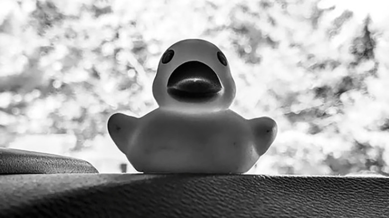 A duck on the dashboard of a jeep in black and white
