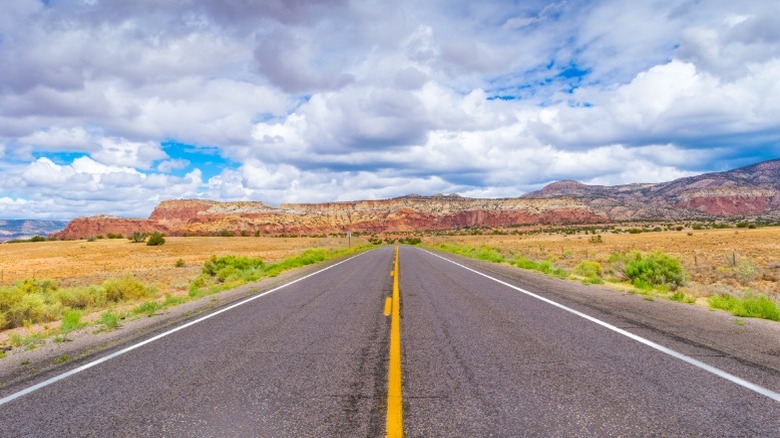A road successful New Mexico