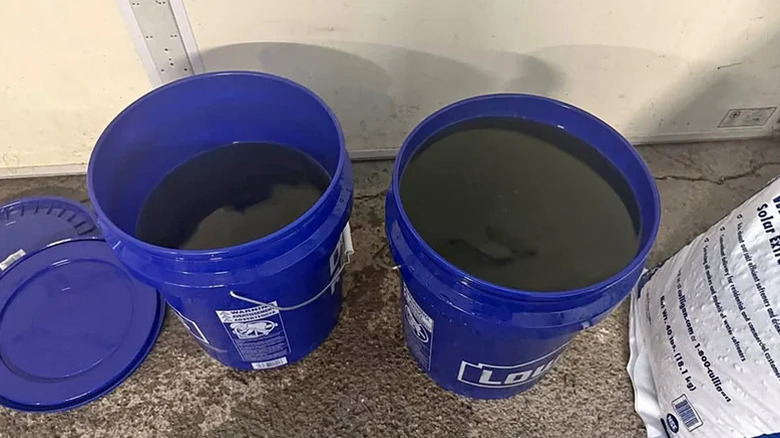 About 8 gallons of old gas