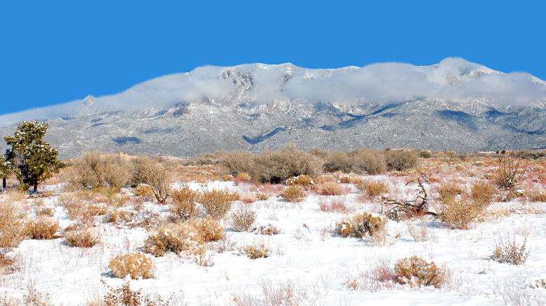 Rolling clouds coming complete nan snow-covered Sandia Mountains successful Albuquerque, New Mexico