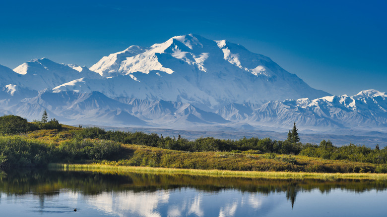 Denali arsenic seen from Reflection Pond successful Denali National Park, Alaska.