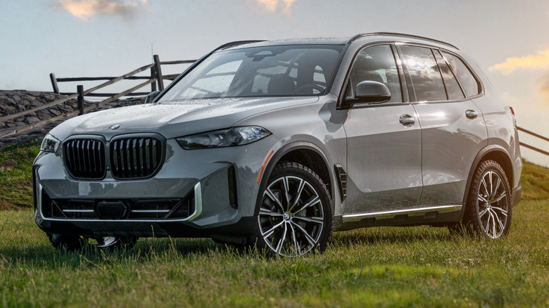 BMW X5 Silver Anniversary Edition parked in grassy field with wooden split rail fence in background