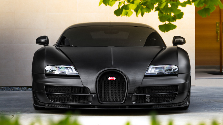 An all-black Bugatti Veyron, parked head-on in front of a residential home, surrounded by green foliage.